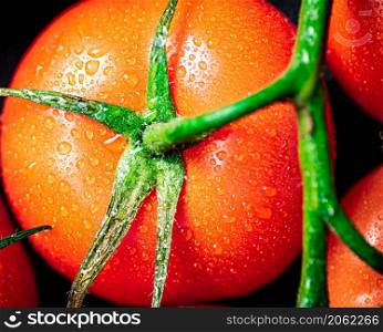 Red ripe tomato with drops of water. Macro background. High quality photo. Red ripe tomato with drops of water.