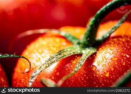 Red ripe tomato with drops of water. Macro background. High quality photo. Red ripe tomato with drops of water.