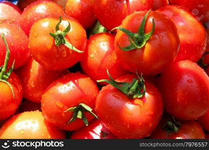 red ripe tomatoes . harvest from many bright ripe red tomatoes