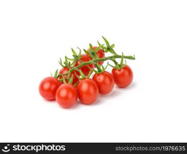 red ripe tomatoes on a green branch on a white background, healthy vegetable, close up