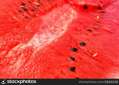 Red ripe watermelon as a background.