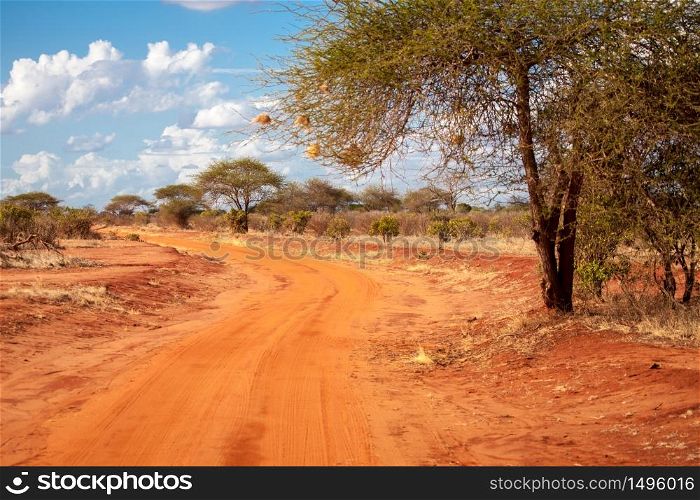 Red road in the savannah of Kenya with a big tree, baobab, with a blue sky and clouds
