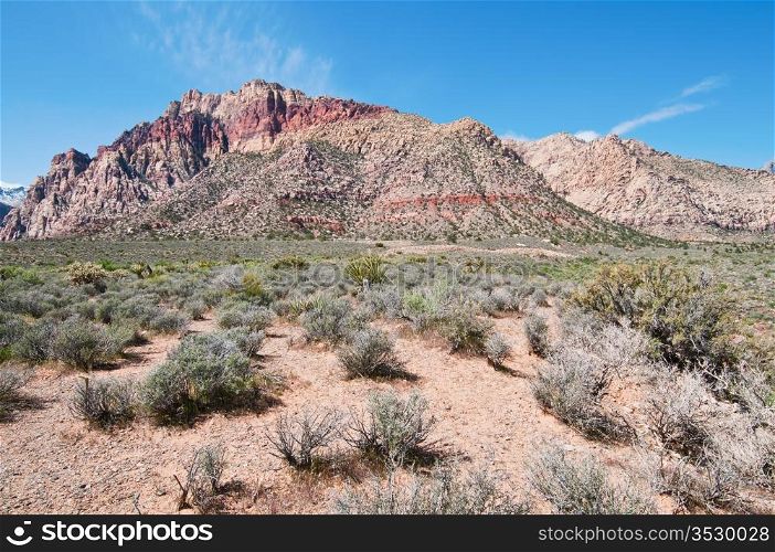 Red Rock Canyon in early spring, Nevada