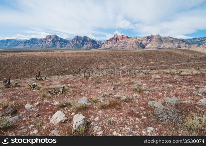 Red Rock Canyon in early spring, Nevada