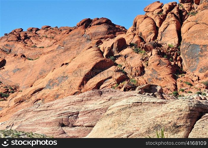 Red Rock Canyon, Nevada ,USA.
