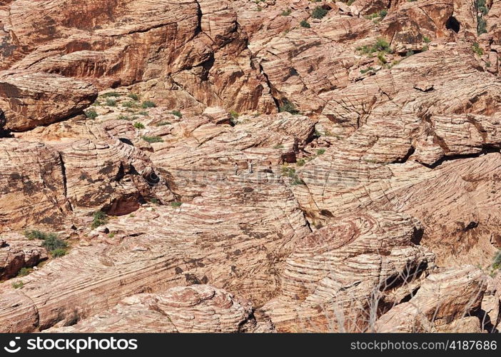 Red Rock Canyon, Nevada ,USA.