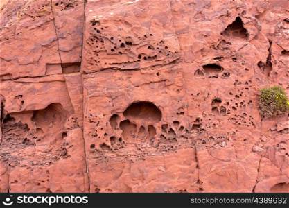Red rock holes detail texture in Menorca Balearic islands