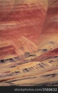 Red Rocks In The Sandy Desert