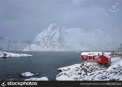 Red rorbu houses of Hamnoy fishing village on Lofoten Islands, Norway in snowfall in winter. Hamnoy fishing village on Lofoten Islands, Norway 