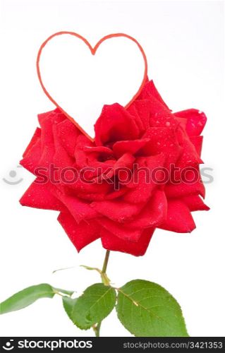 Red rose and heart