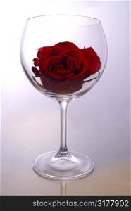 Red rose blossom inside of a red wine glass