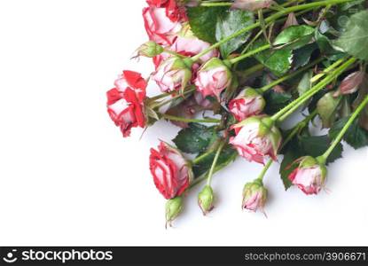red rose bouquet isolated on white