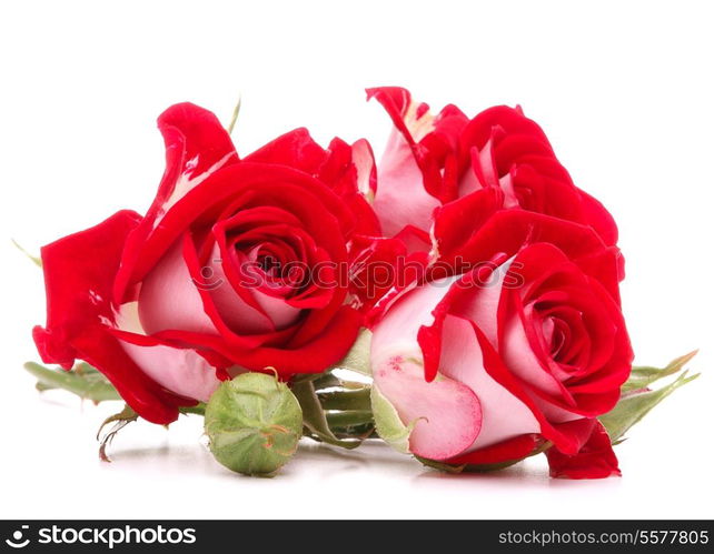 Red rose flower bouquet isolated on white background cutout