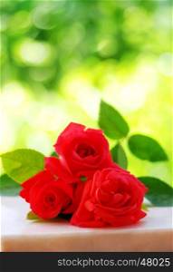 Red rose flower isolated on green background