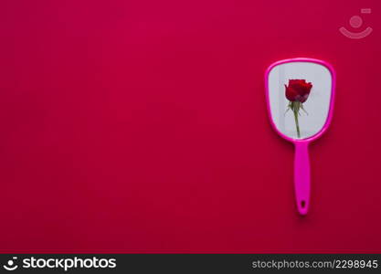 red rose flower mirror reflection