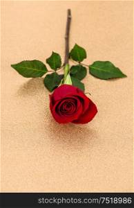 Red rose. Flower on golden background