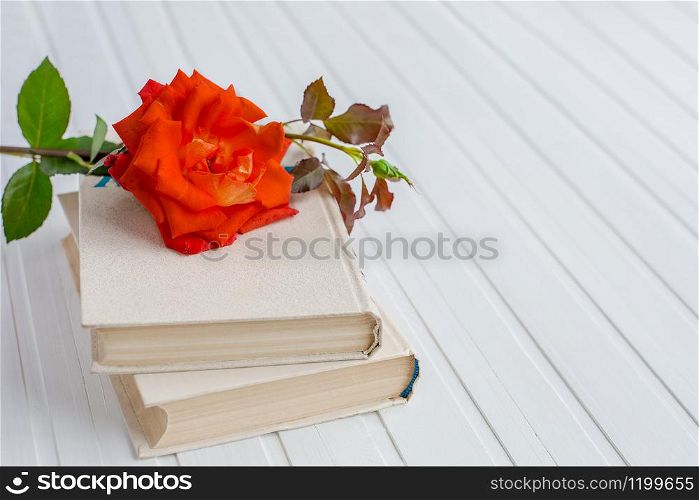 Red rose flower over open book on white wooden background, romantic and love, space for your message.. Red rose flower over open book on white wooden background, romantic and love.