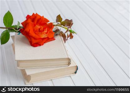Red rose flower over open book on white wooden background, romantic and love, space for your message.. Red rose flower over open book on white wooden background, romantic and love.