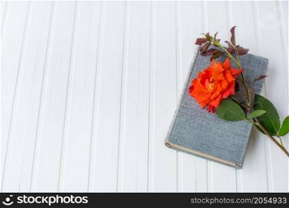 Red rose flower over open book on white wooden background, romantic and love, space for your message.. Red rose flower over open book on white wooden background.