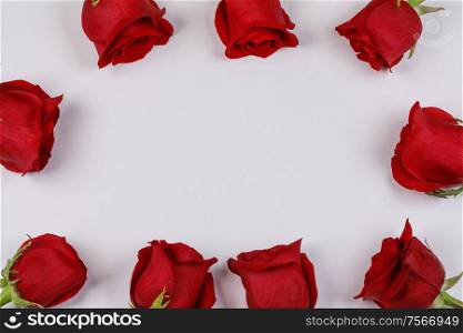 Red rose flowers frame composition on white background top view with copy space. Valentine&rsquo;s day, birthday, wedding, Mother&rsquo;s day concept. Copy space. Red roses frame on white