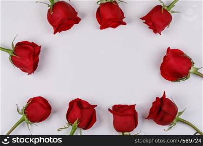 Red rose flowers frame composition on white background top view with copy space. Valentine&rsquo;s day, birthday, wedding, Mother&rsquo;s day concept. Copy space. Red roses frame on white