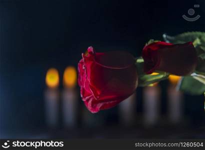 red rose in black background.smoke and candles .romantic flower saint valentines day.death and funeral flowers