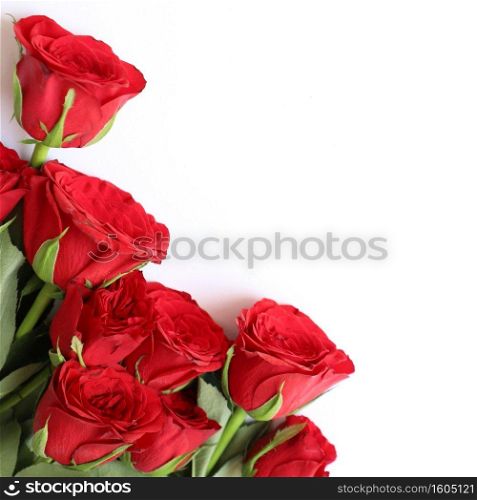 Red Rose Multipurpose Background for Anniversary, Wedding, Birthday or other Celebrations