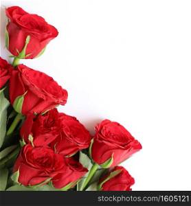 Red Rose Multipurpose Background for Anniversary, Wedding, Birthday or other Celebrations