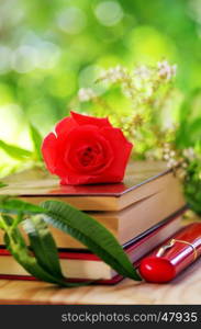 red rose on the books