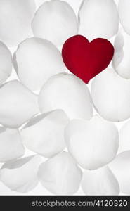 Red rose petal heart shape over white