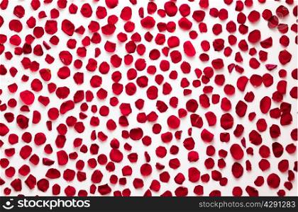 Red rose petals background, pattern. Perfect for wedding design, Valentine&rsquo;s Day, anniversary etc.