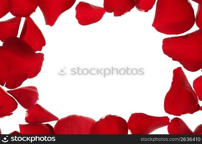 Red rose petals frame, border with white copy space