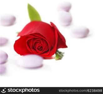 Red Rose with candy on white
