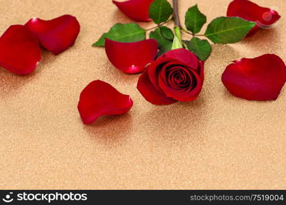 Red rose with petals on golden background