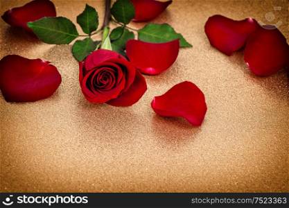 Red rose with petals on golden background. Vintage style toned picture