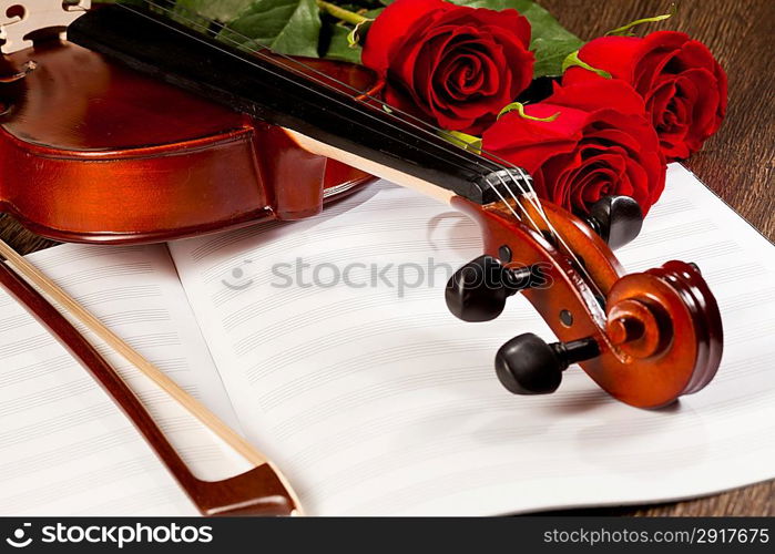 Red roses and a violin