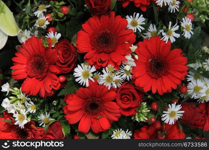 Red roses and gerberas with berries and matricaria