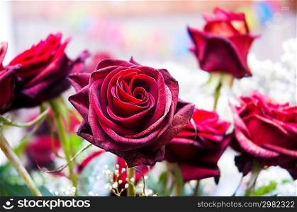 Red roses and other flowers in arrangement