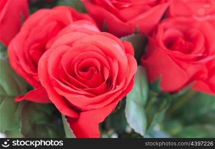 Red roses as Valentine gift. A good choice