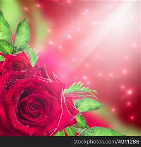 Red roses background with light and bokeh, holiday floral border