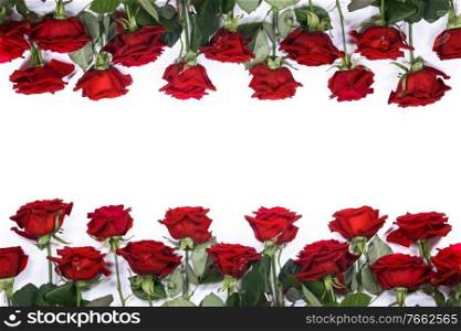 Red roses border frame isolated on white background, Valentine’s Day. Red roses on white