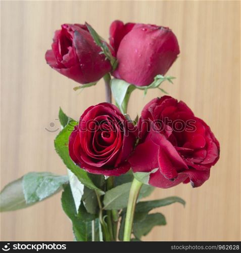 Red roses for Valentine's Day.