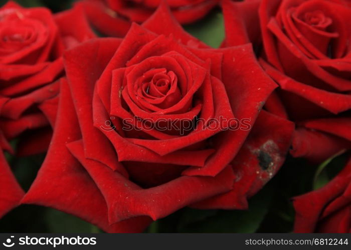 Red roses in a bridal bouquet