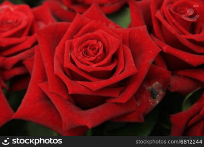 Red roses in a bridal bouquet