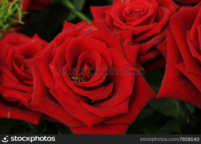 Red roses in a bridal bouquet