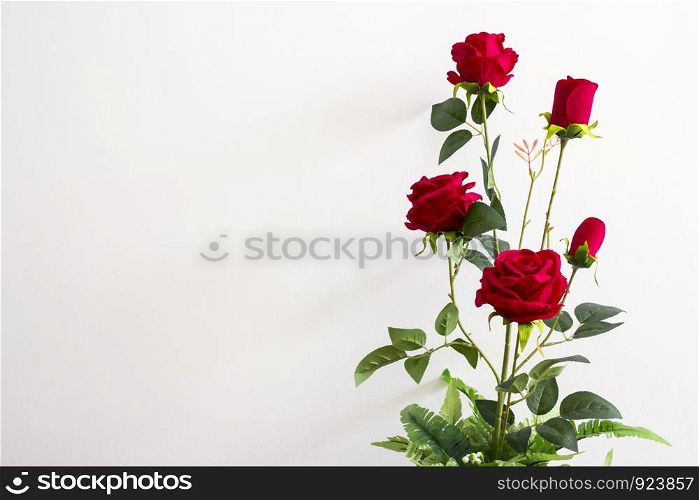 Red roses in the flower pot