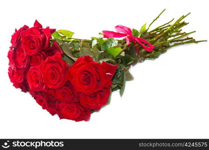 Red roses isolated on white background