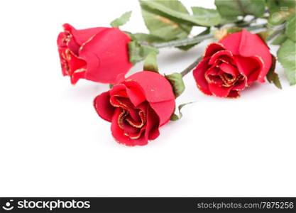 Red roses isolated on white background.
