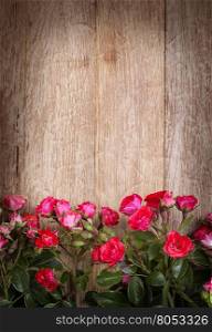 red roses on wooden board, Valentines Day background