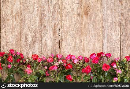 red roses on wooden board, Valentines Day background